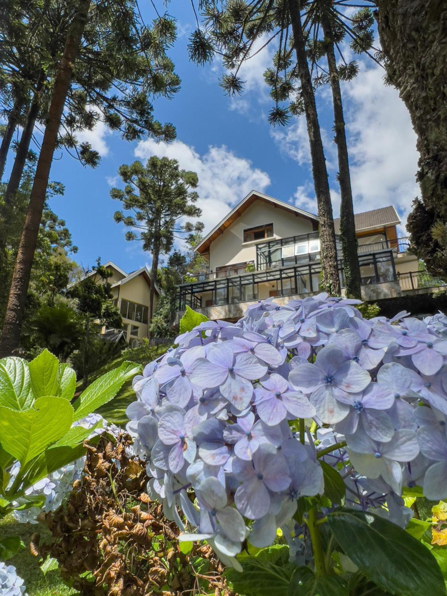 Araucaria Lodge Campos do Jordão エクステリア 写真