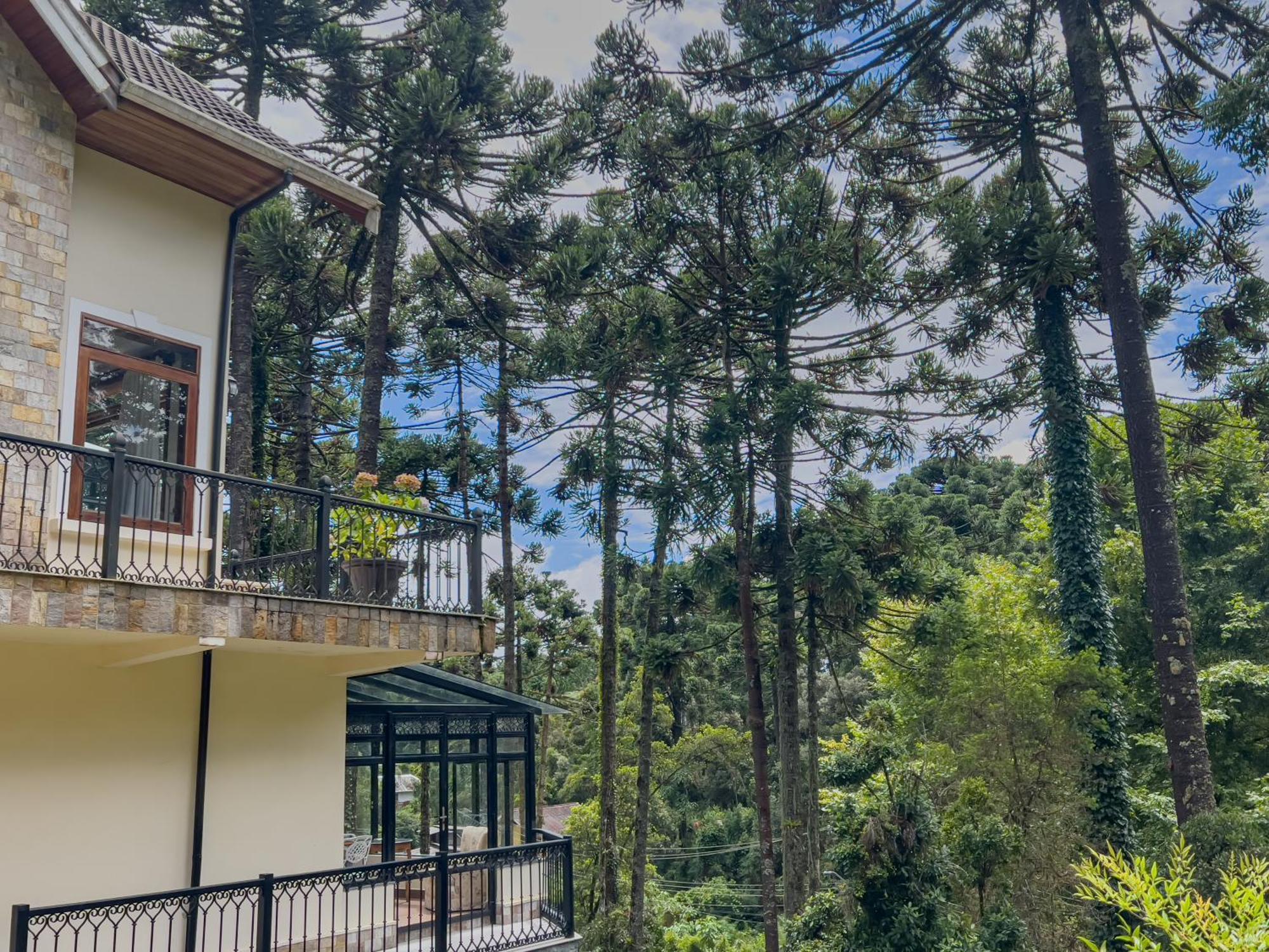 Araucaria Lodge Campos do Jordão エクステリア 写真