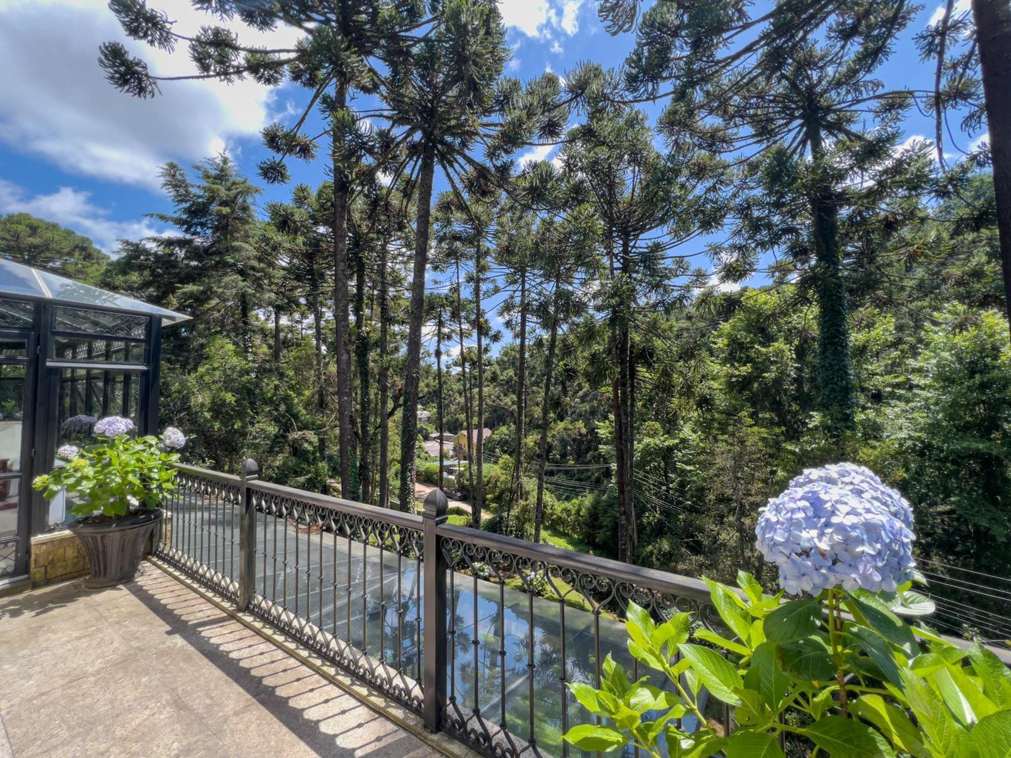 Araucaria Lodge Campos do Jordão エクステリア 写真