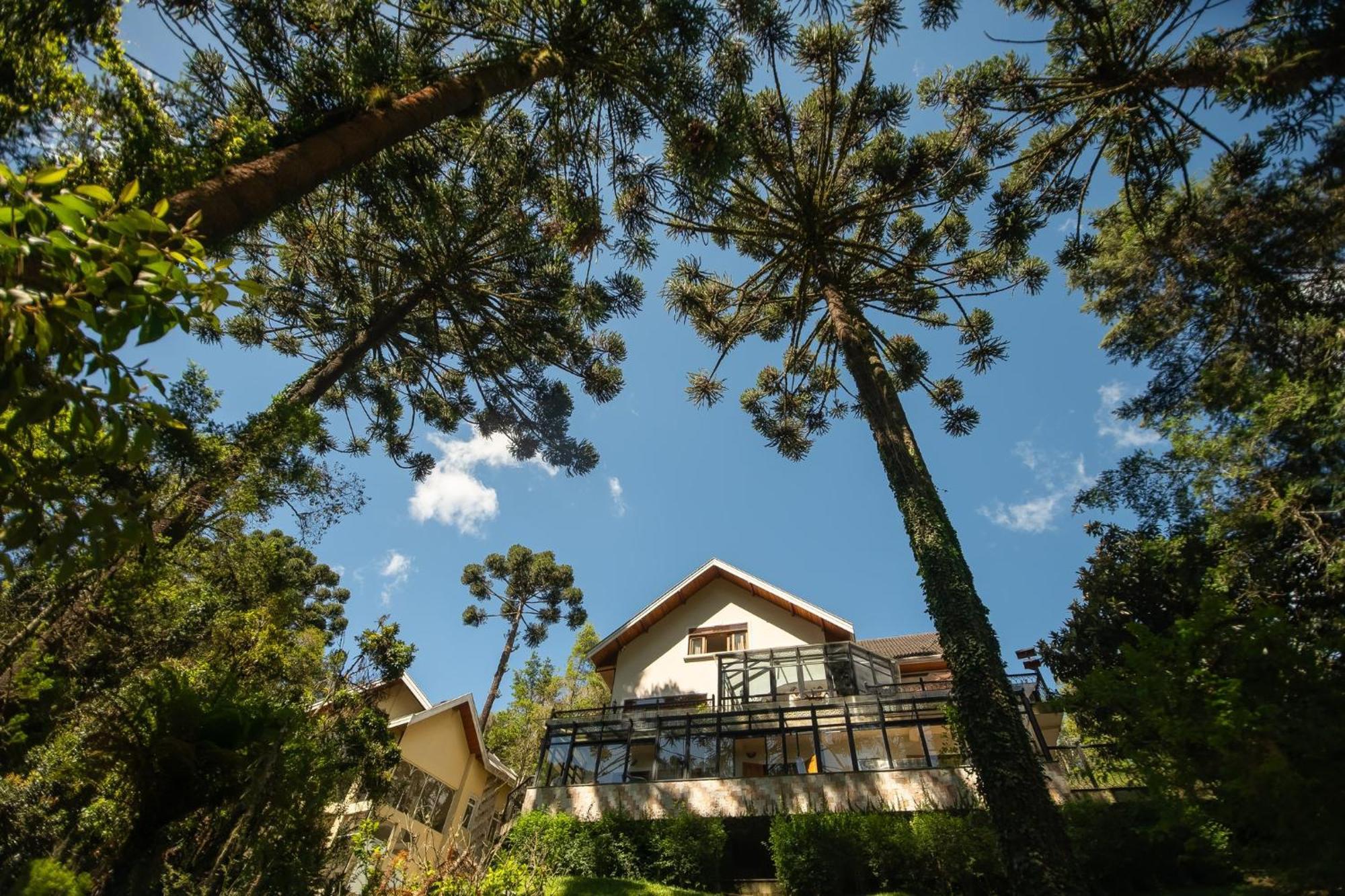 Araucaria Lodge Campos do Jordão エクステリア 写真